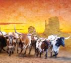 Dixie Stampede Longhorns