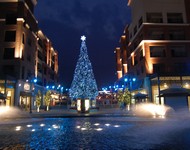 Ozark Mountain Christmas