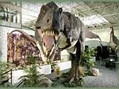 Dinosaur Museum