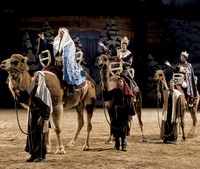 Dixie Stampede Christmas