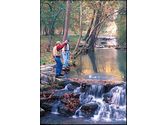 Dogwood Canyon