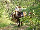 Dogwood Canyon