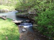Dogwood Canyon Nature Park