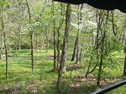 Dogwood Canyon Nature Park
