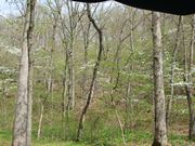 Dogwood Canyon Nature Park