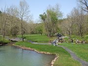 Dogwood Canyon Nature Park