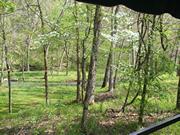 Dogwood Canyon Nature Park