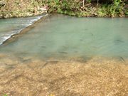 Dogwood Canyon Nature Park