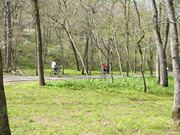 Dogwood Canyon Nature Park