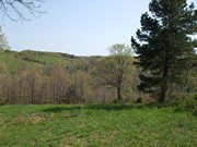 Dogwood Canyon Nature Park