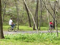Dogwood Canyon Biking