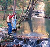 Dogwood Canyon Fishing