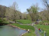 Dogwood Canyon