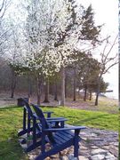 Anchor Inn