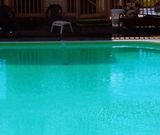 All American Inn