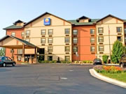 Comfort Inn and Suites
