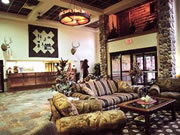 Comfort Inn and Suites