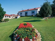 Comfort Inn West