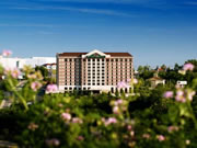 Grand Plaza Hotel