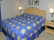 La Quinta Inn