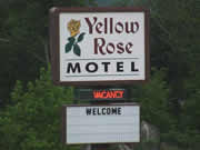 Branson's Yellow Rose