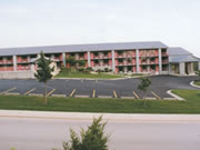 Branson's Yellow Rose