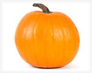 Halloween Package