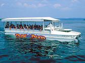Ride The Ducks Branson