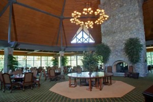 Steve's Tree House at Stonebridge Village