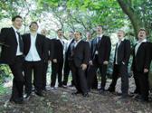 Twelve Irish Tenors