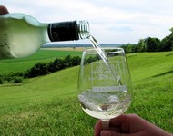 Wine 101 Package