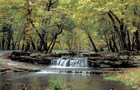 Dogwood Canyon Nature Park