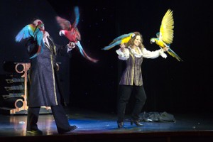 Dave Denise Hamner Birds