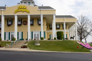 Dixie Stampede w Butterfly After tornado 2