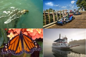 Just a few of the things at Branson Attractions that you might not know about.