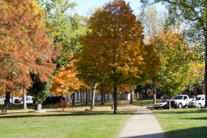 Late October shot of foliage on campus of College of the Ozarks.