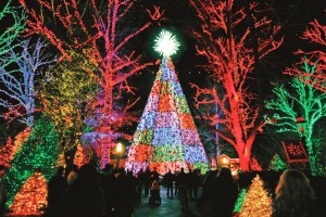 Silver Dollar City's "Christmas on Main Street." 