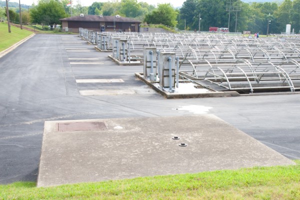 Raceways at the Shepherd of the Hills Hatchery contain hundreds of thousand Rainbow and Brown Trout.