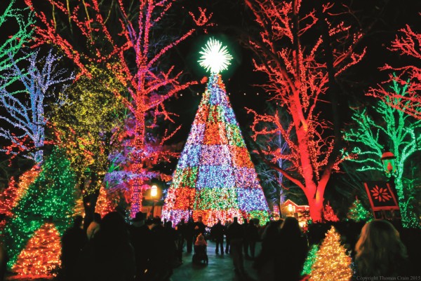 Silver Dollar City's acclaimed dazzling 5-story special effects Christmas Tree. 