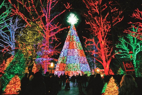 Silver Dollar City's Main Street aglow with Christmas lights.